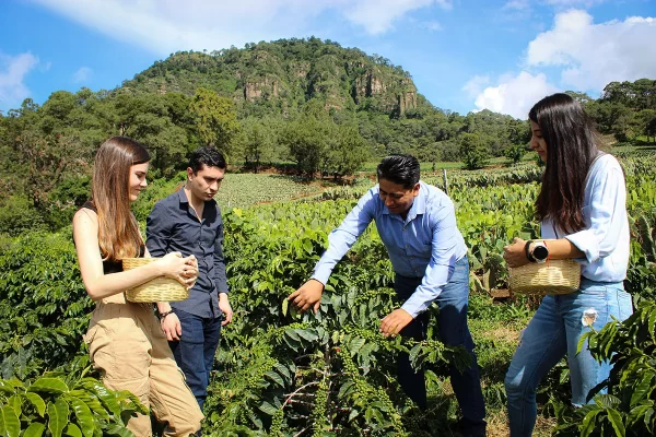 2 Senderos del Café Experiencias turísticas
