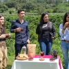 7 Senderos del Café Experiencias turísticas