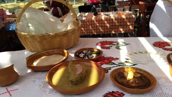 IMG-20260123-WA0035 Fiesta para los Sentidos