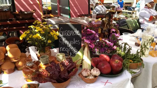 IMG-20260123-WA0036 Fiesta para los Sentidos