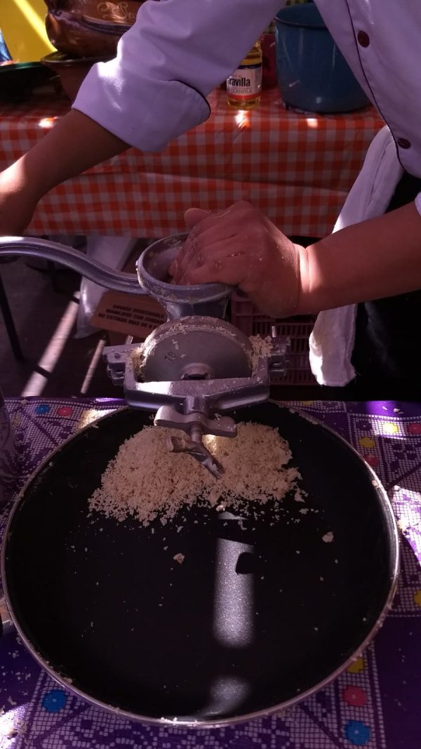 IMG-20260123-WA0038 Fiesta para los Sentidos