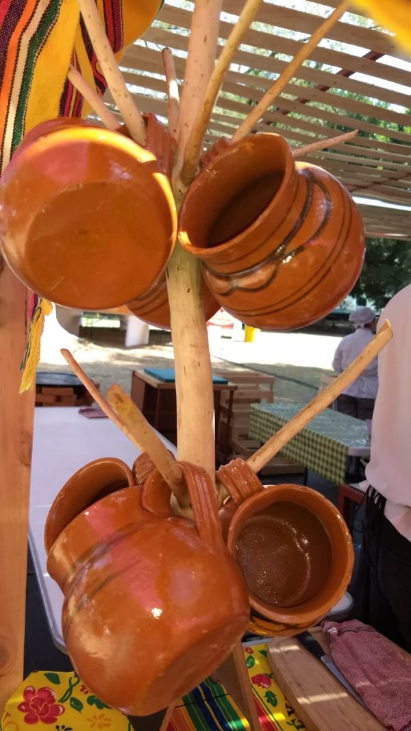 IMG-20260123-WA0041 Fiesta para los Sentidos