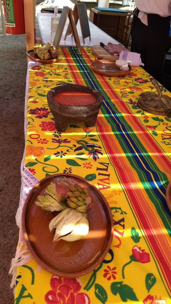 IMG-20260123-WA0042 Fiesta para los Sentidos