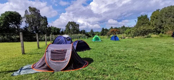 WhatsAppImage2024-02-21at2.21.17PM1 Zona de Camping