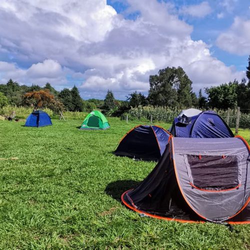 Zona de Camping