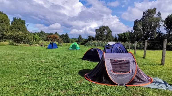 fondo_camping Zona de Camping