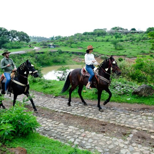 fondo_paseo_caballo Paseo a Caballo
